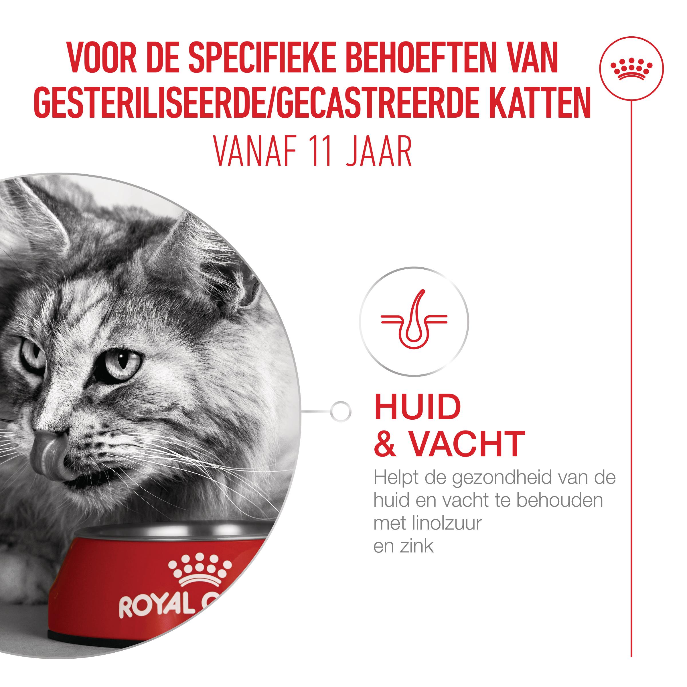 Royal Canin C-58391 Félin Kitten Instinvenive - 12 x 85 GR