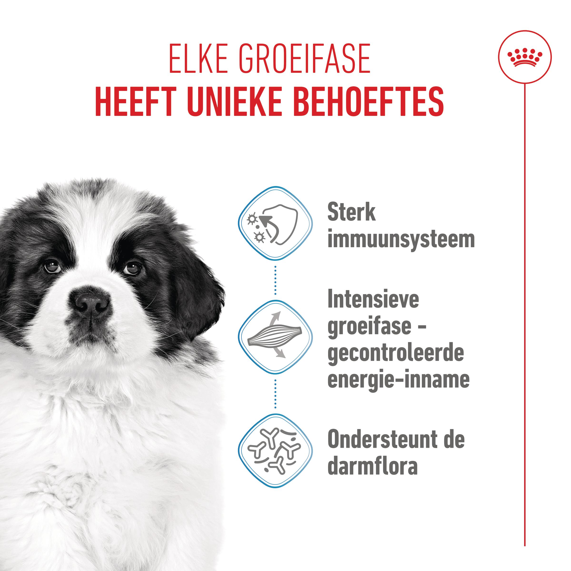 Royal Canin Giant Puppy - Hondenvoer