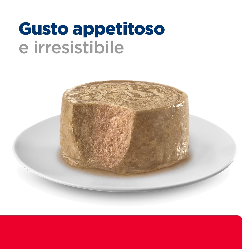 Hill's c/d Multicare Stress - Prescription Diet - Gatto - Mousse