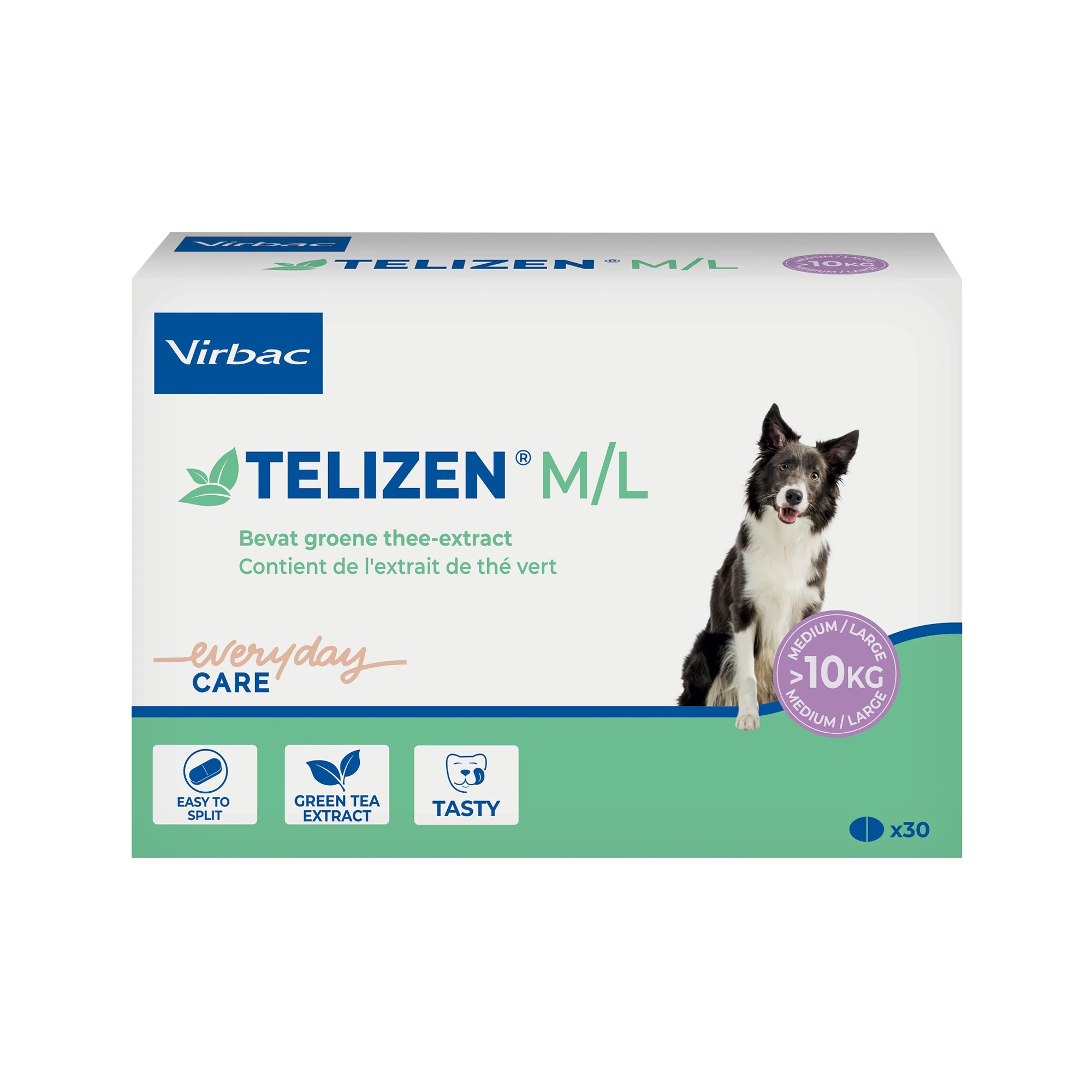 Telizen