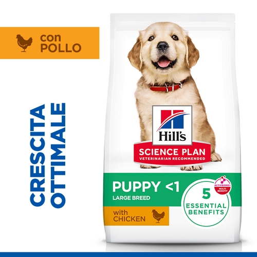 Hill's Science Plan - Large Breed - Puppy - Pollo