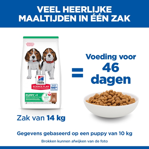 Hill's Science Plan - Puppy - Medium - Lam & Rijst