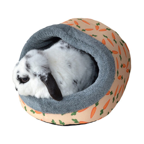 Rosewood Rodent Igloo Carrot