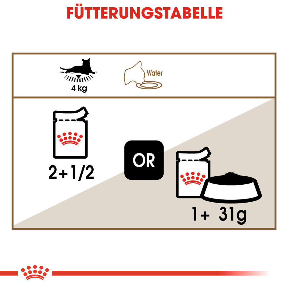 Royal canin ageing 12 cat food on sale