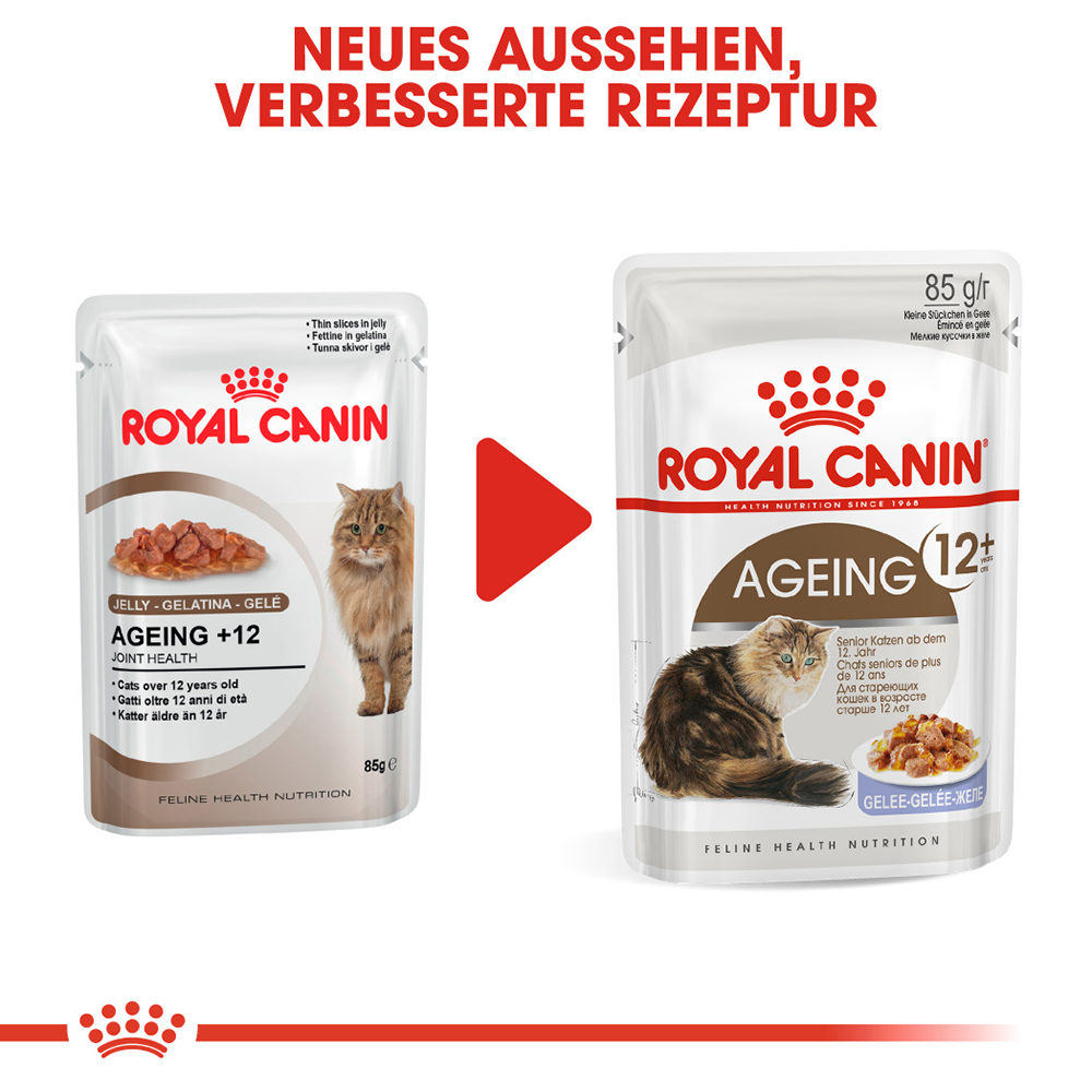 Royal canin aging cat food cheap