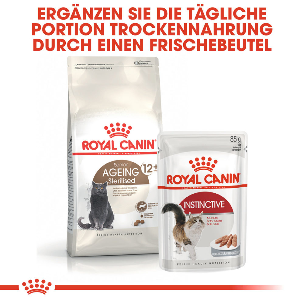 Royal canin aging best sale