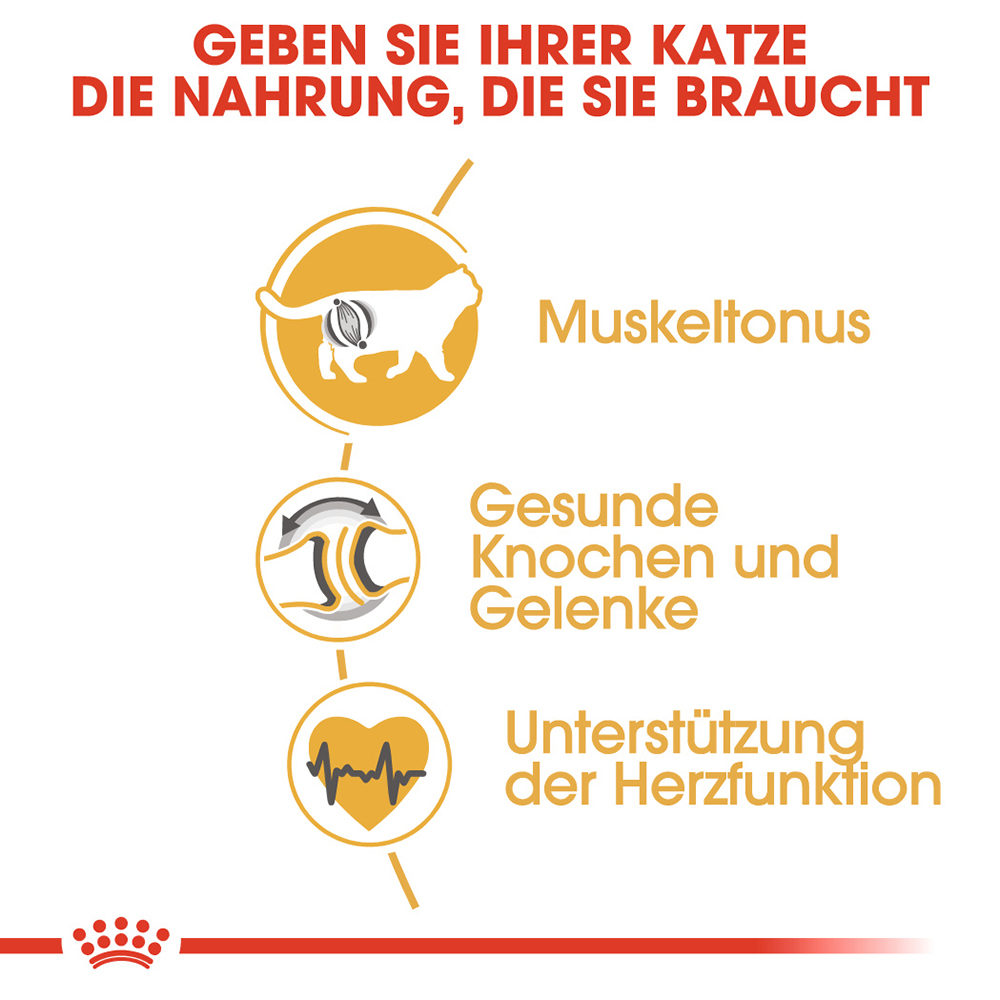 Royal canin 10kg british shorthair deals