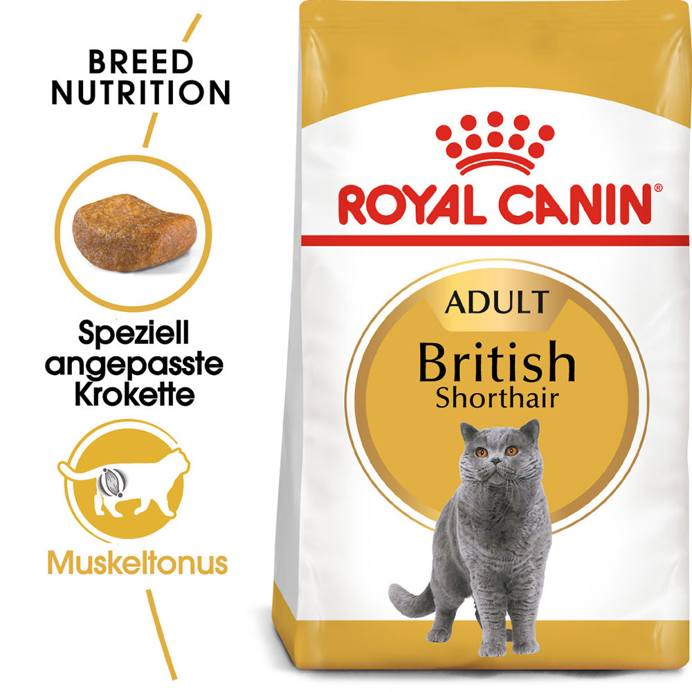 Royal Canin British Shorthair Adult Katzenfutter