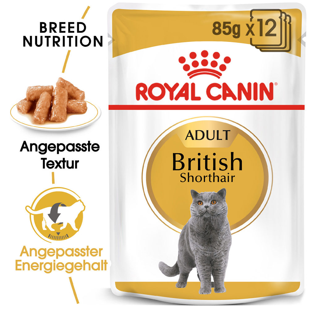 Royal Canin British Shorthair Adult Wet - 24 X 85 G