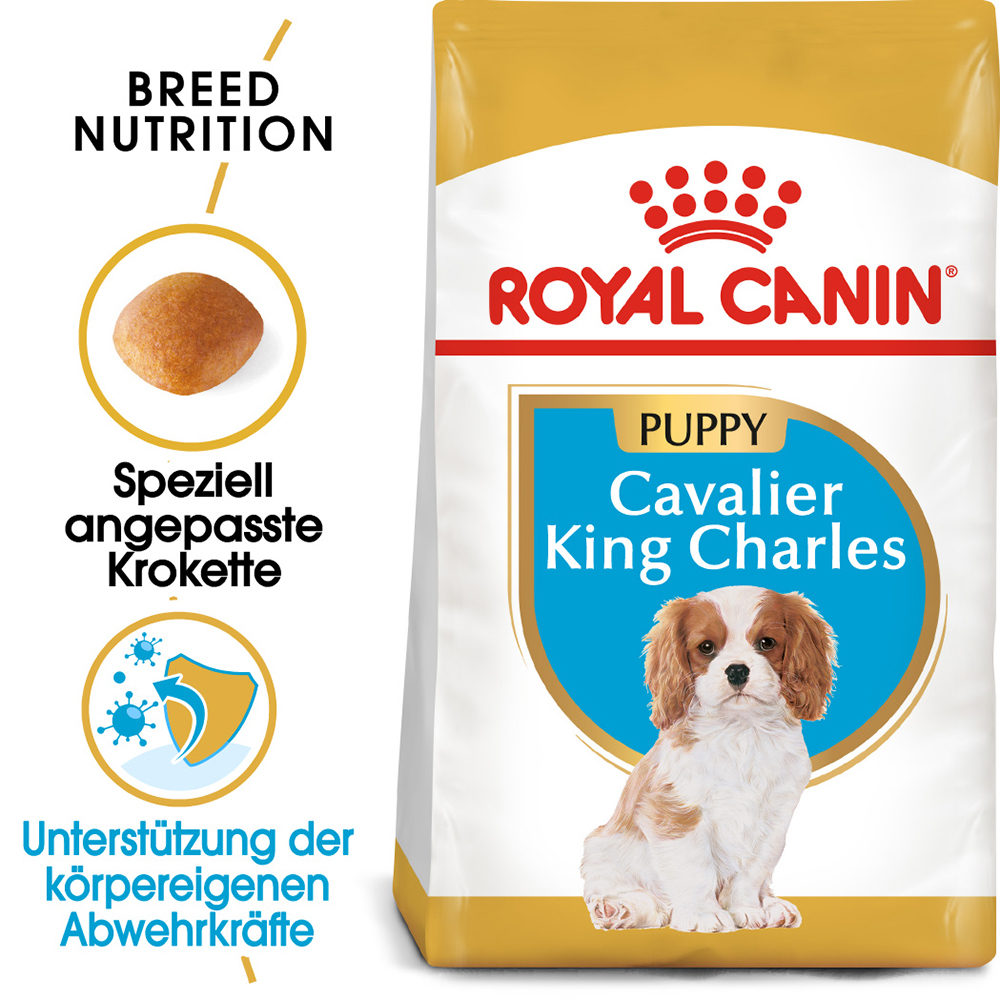 Royal canin cavalier king charles dog food clearance