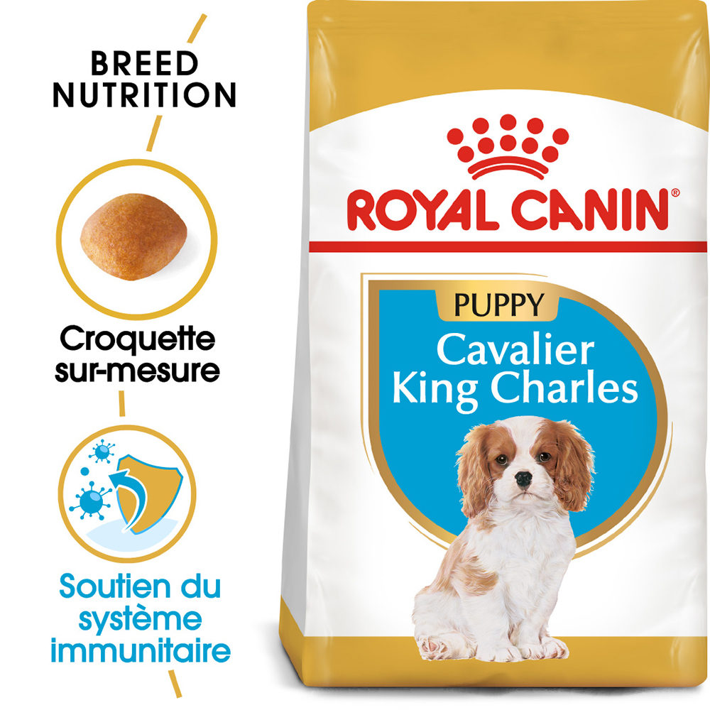 Royal Canin Cavalier King Charles Puppy