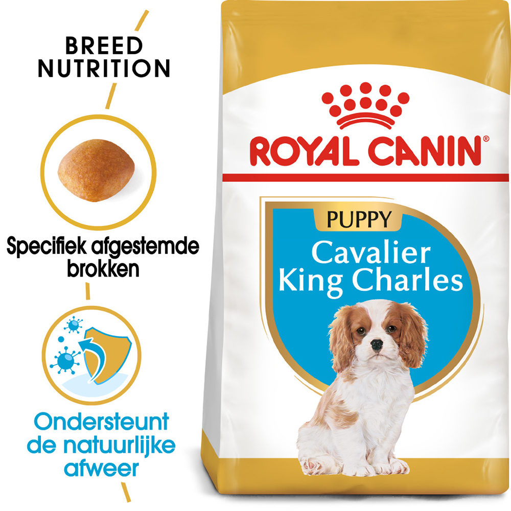 Royal Canin Cavalier King Charles Puppy