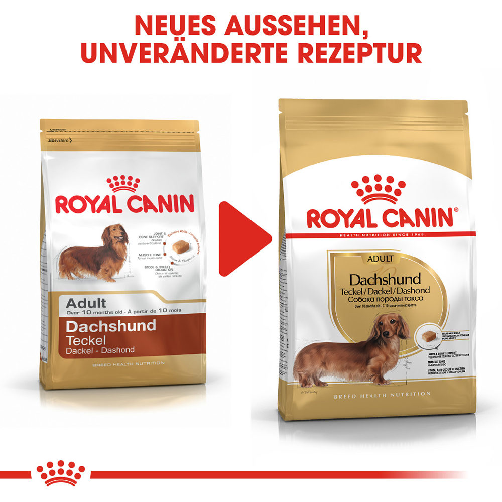hundebett test 2023 Orthopdischer Hundekorb "Easy"  Wahre Tierliebe
