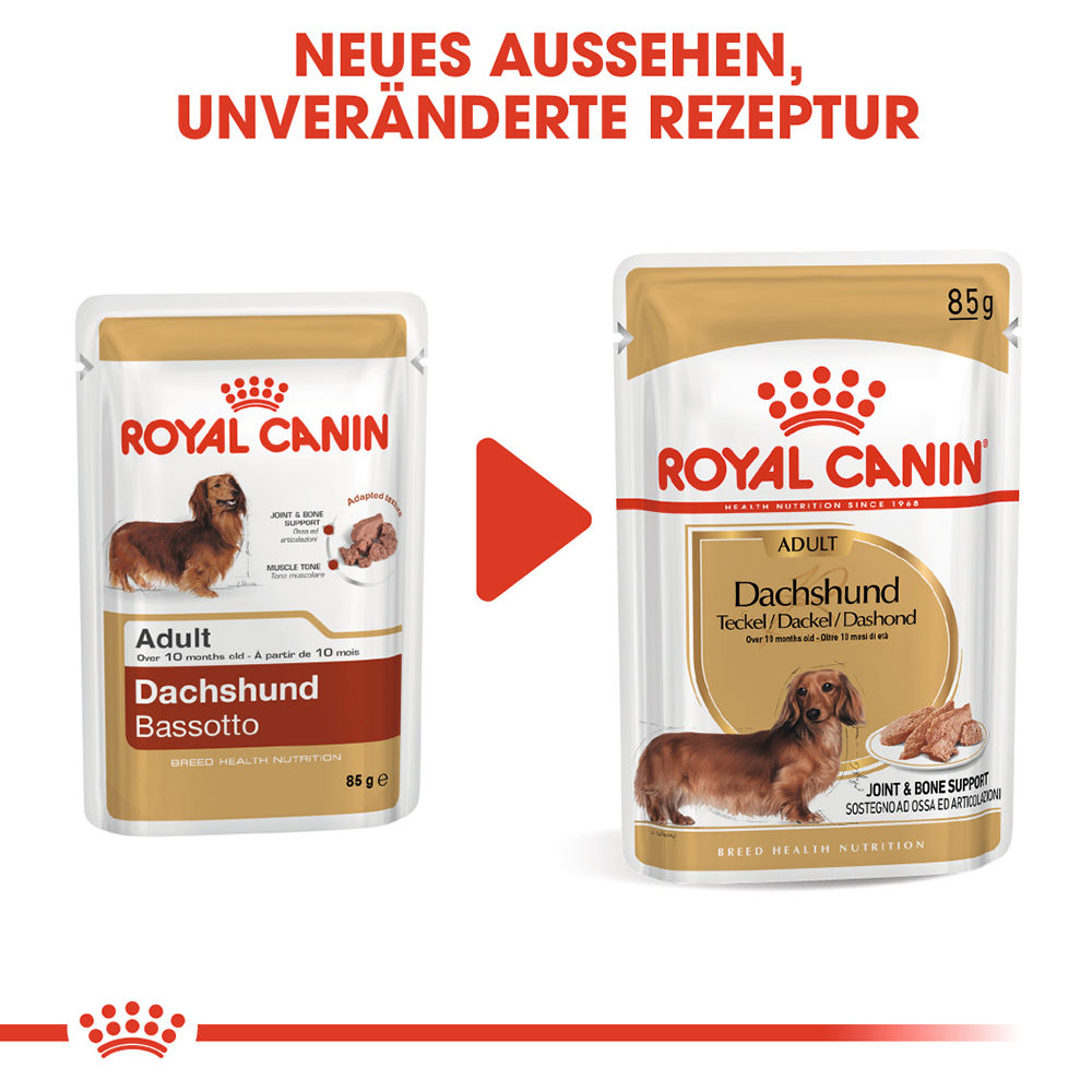 Royal Canin Dachshund Adult Wet | Dackel | Bestellen | Medpets.de