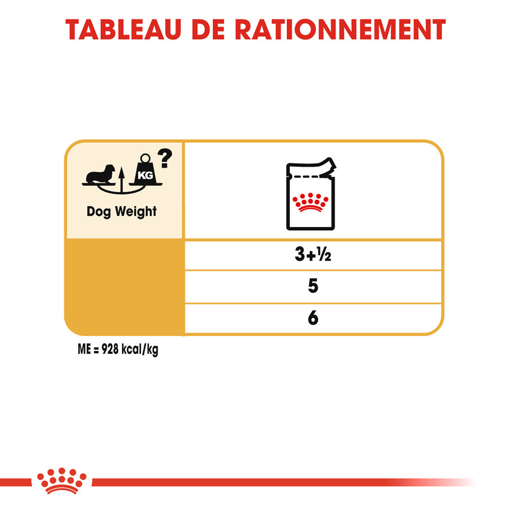 Royal canin teckel sales