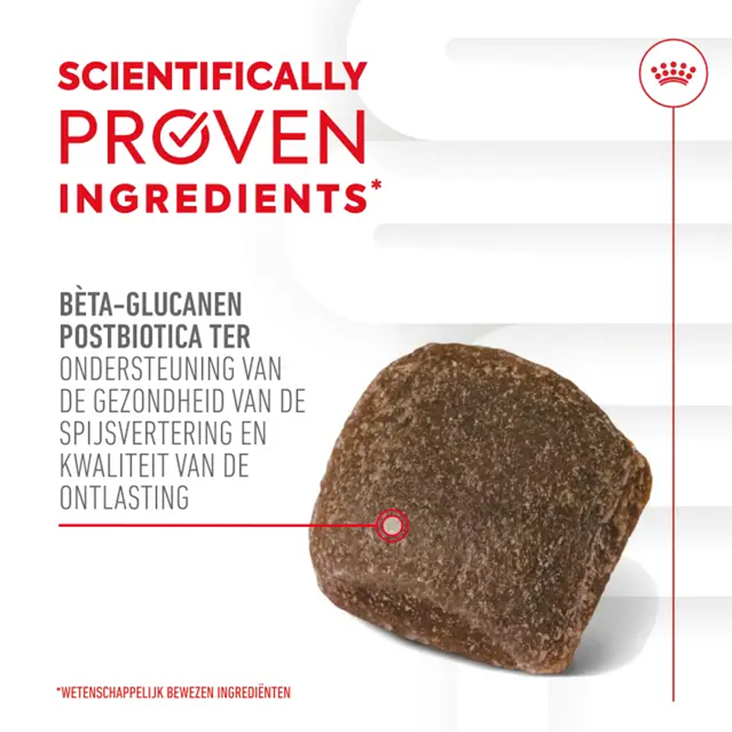 Royal Canin Digestion Supplements Chews Dog