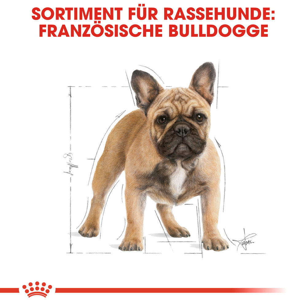 Royal canin adult bulldog outlet