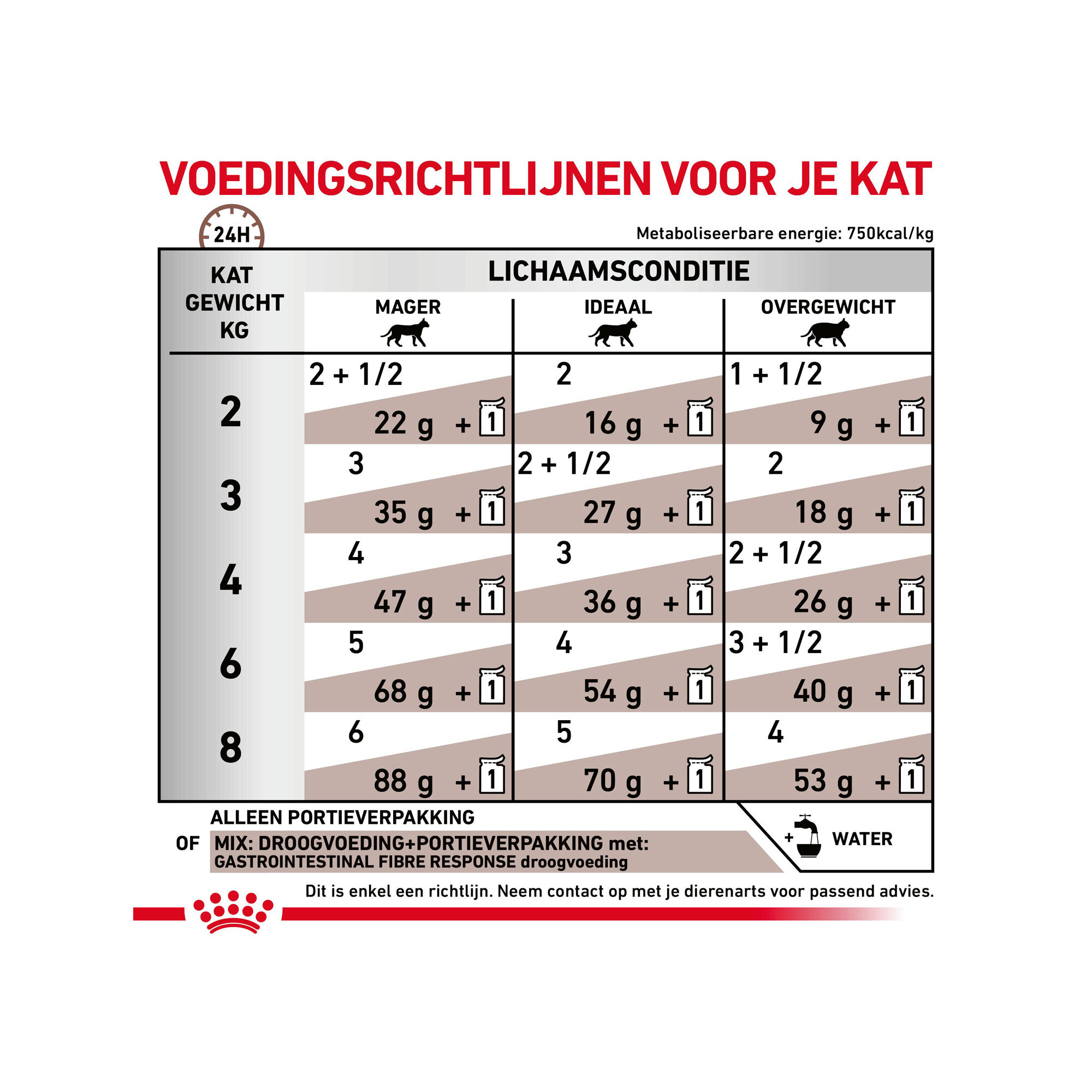 Royal canin intestinal kat store