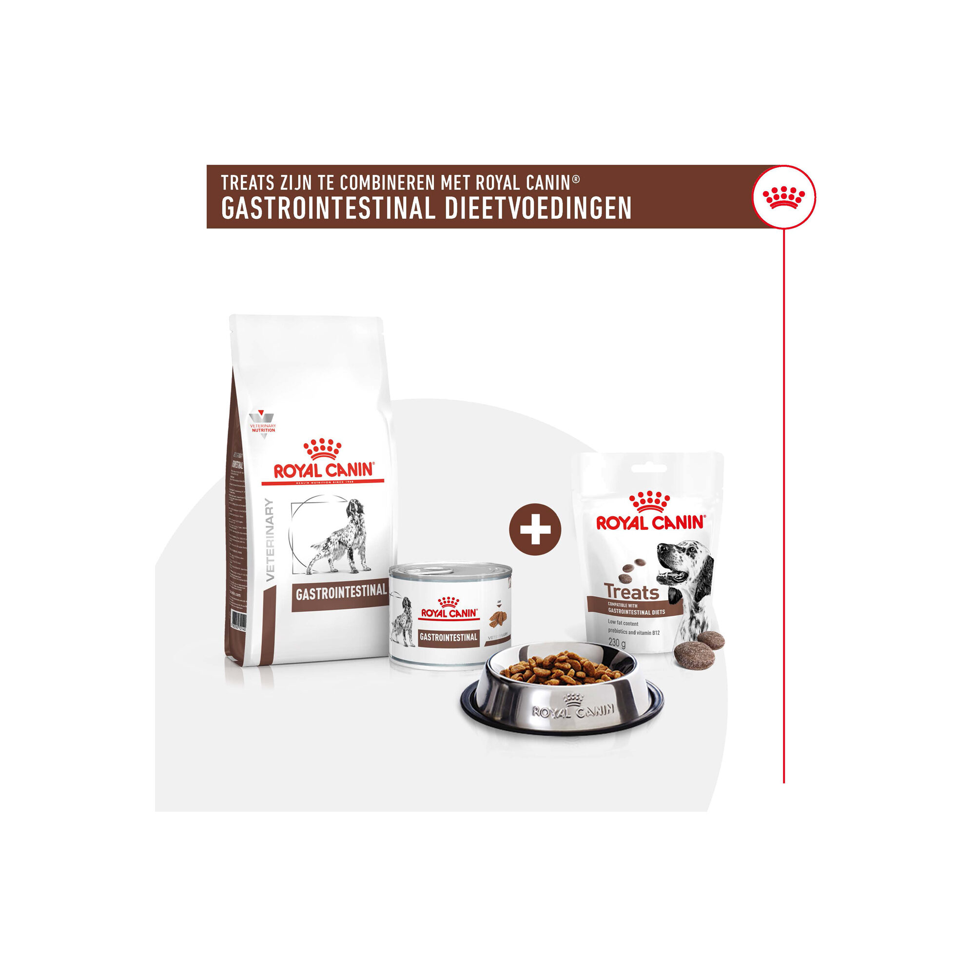 Royal Canin Gastrointestinal Treats