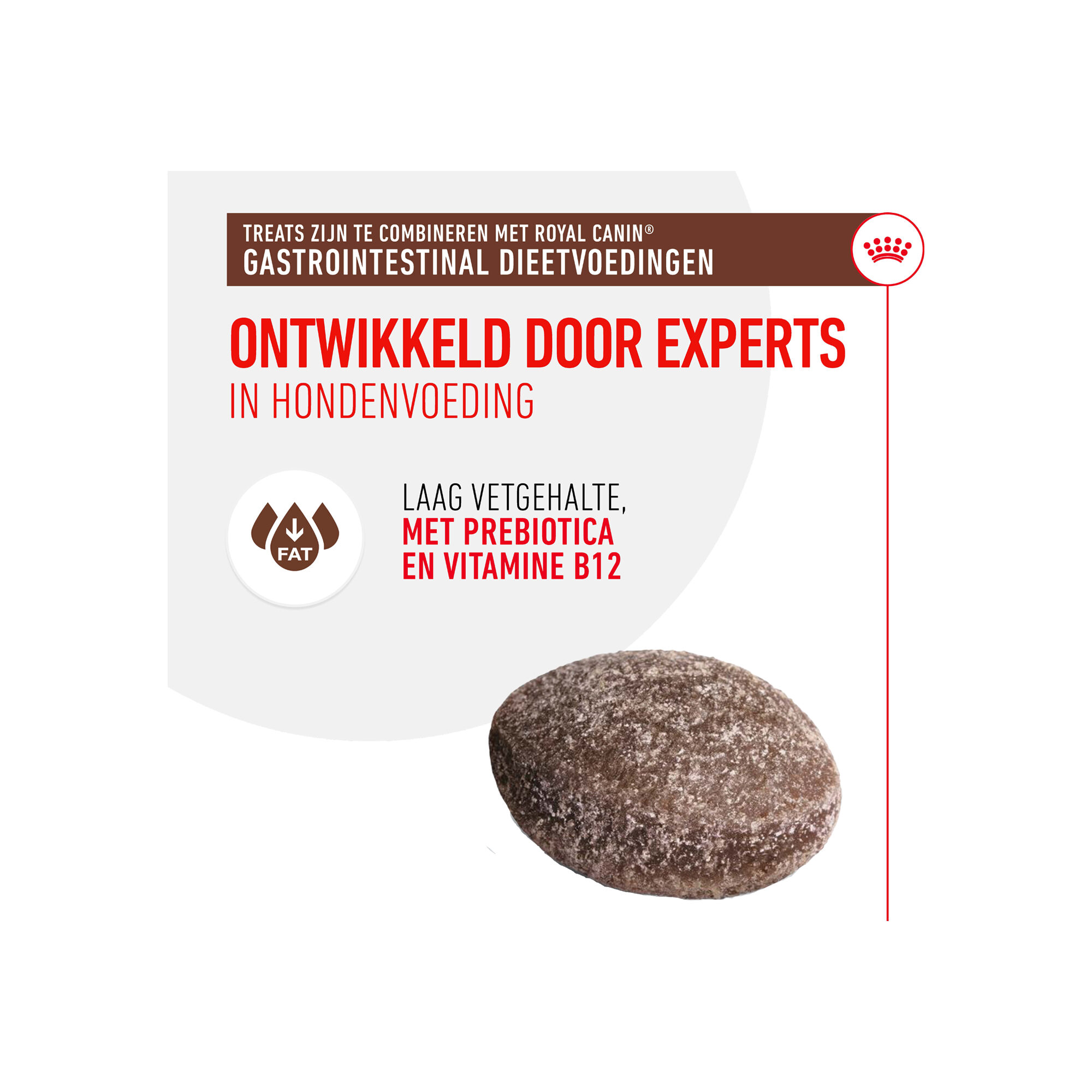 Royal Canin Gastrointestinal Treats