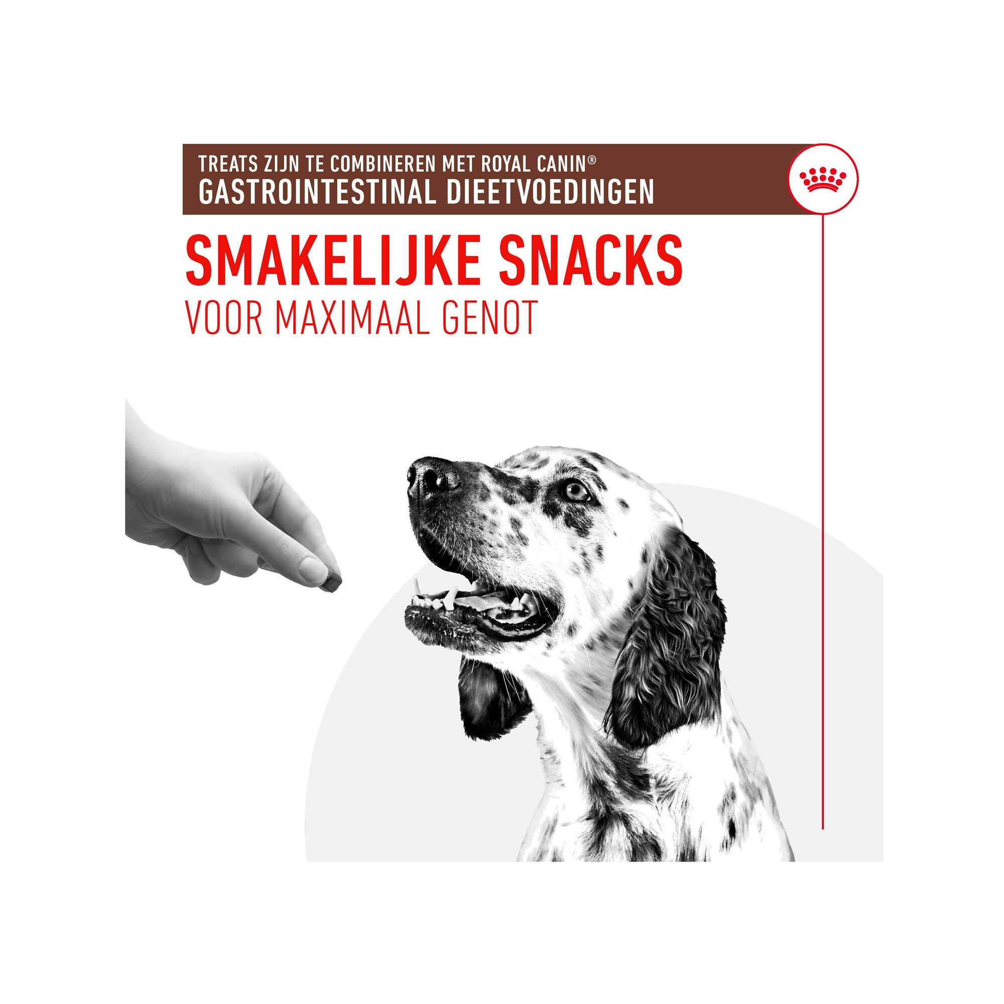 Royal Canin Gastrointestinal Treats