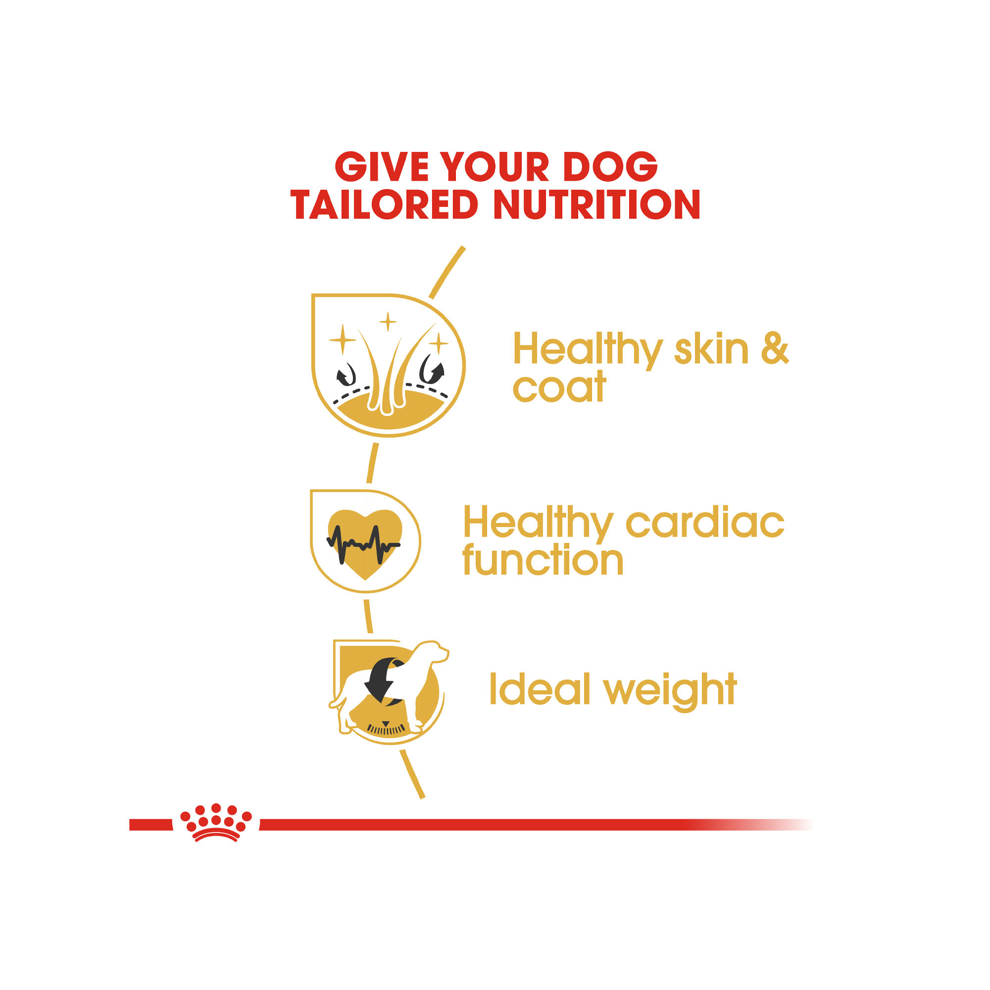 Royal Canin Golden Retriever Adult - Dog Food