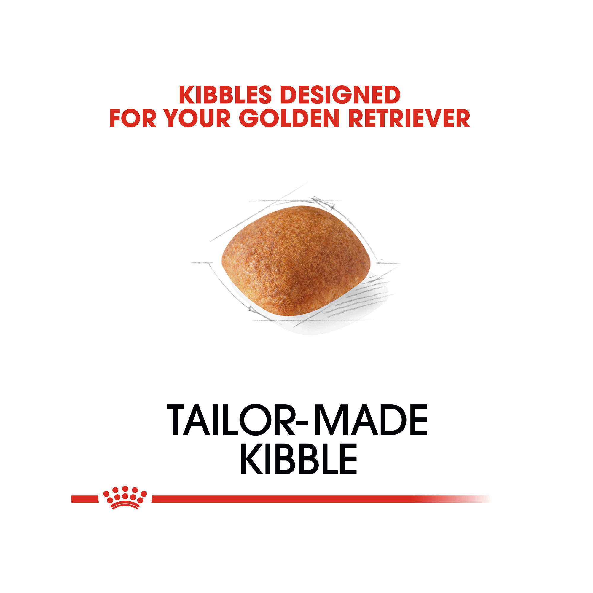 Royal Canin Golden Retriever Adult - Dog Food