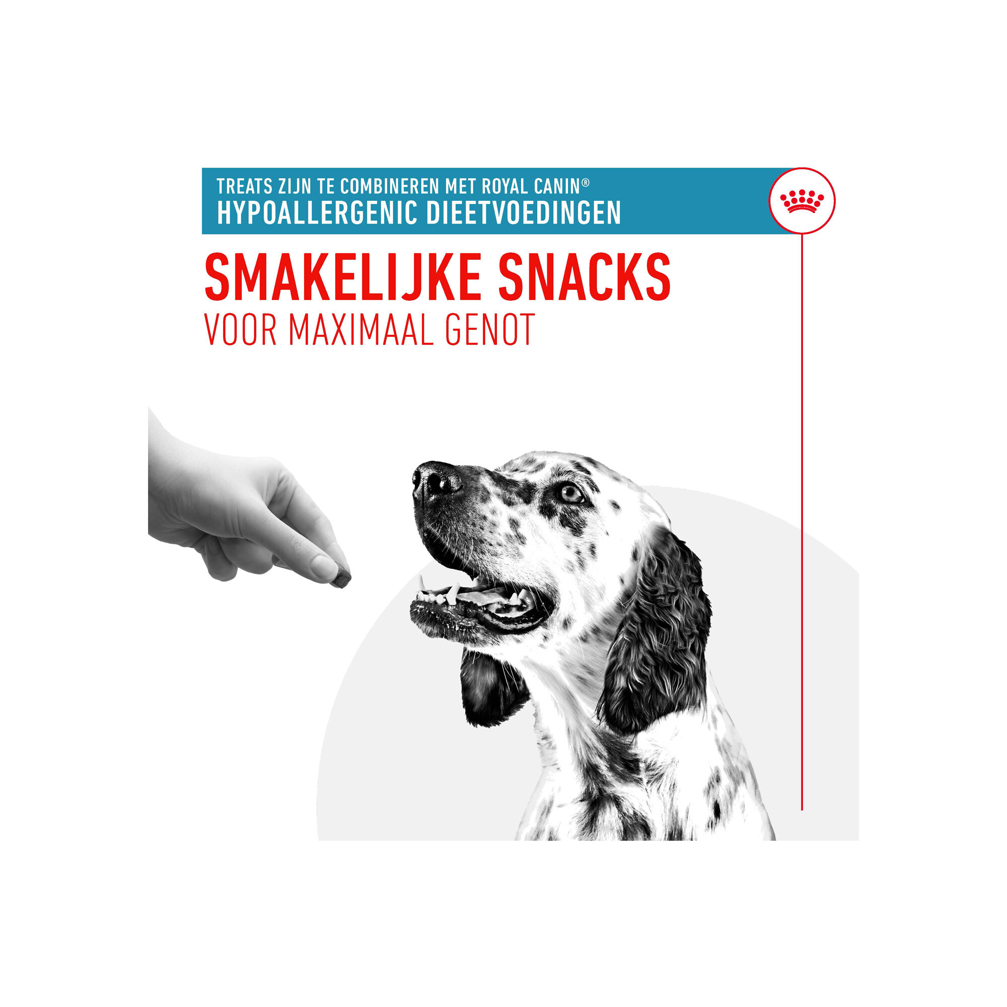 Royal Canin Hypoallergene Snoepjes