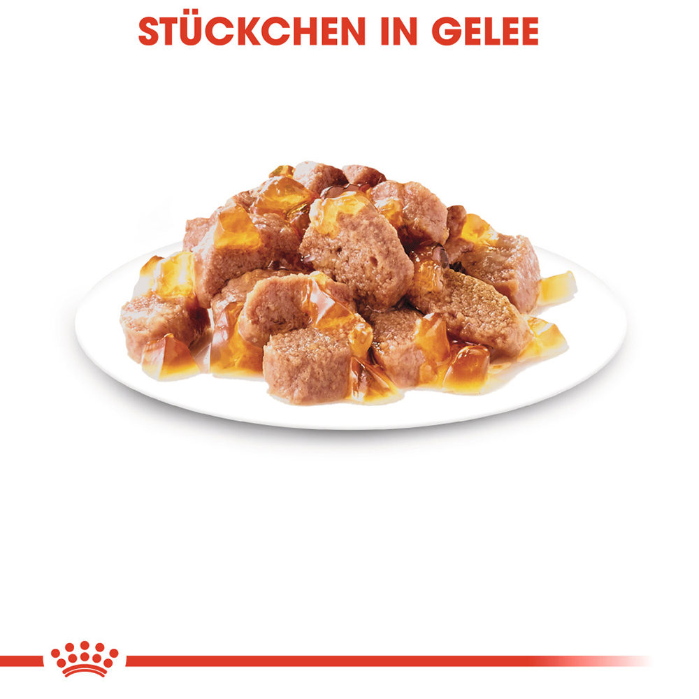 Royal Canin Instinctive in Gelee Bestellen Medpets