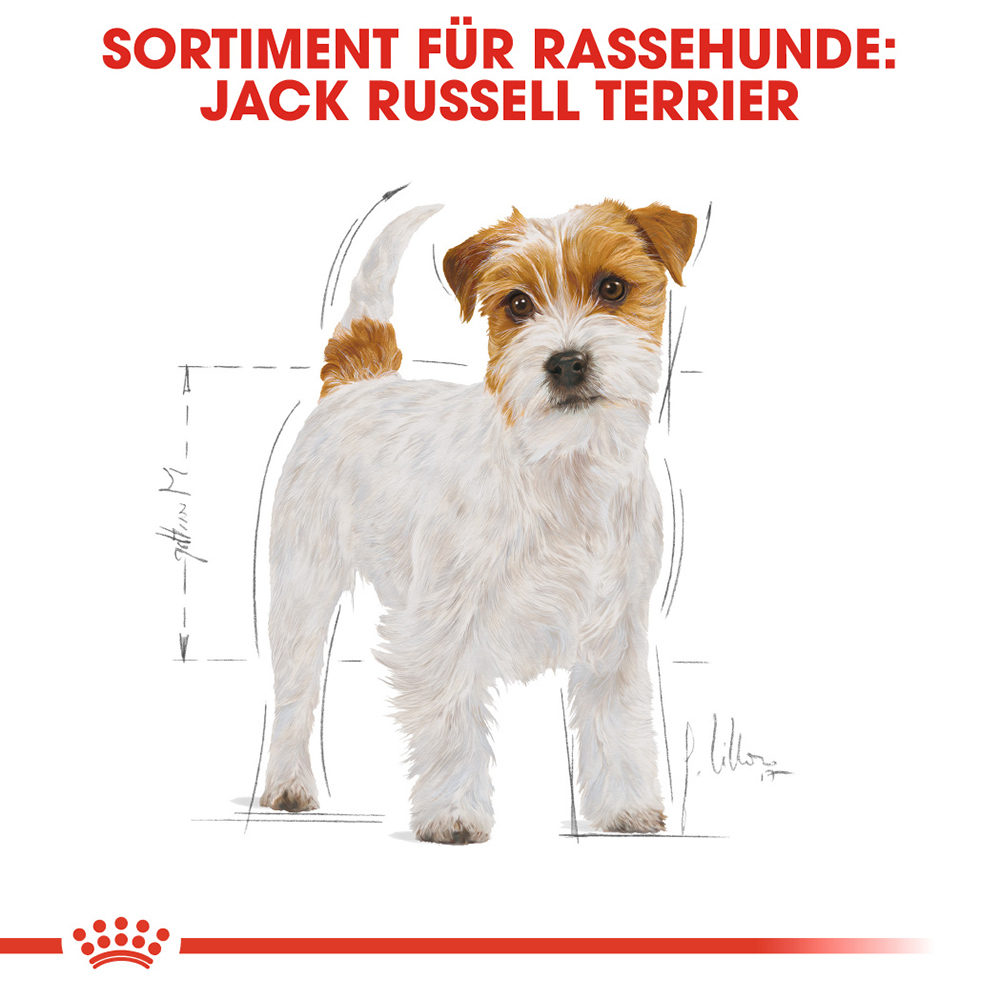 testsieger trockenfutter katze gastro intestinal Katzen-Trockenfutter | mera