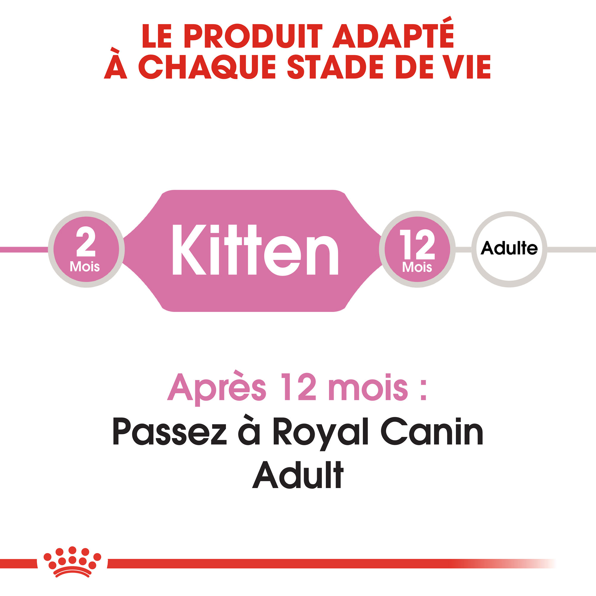 Royal Canin Kitten