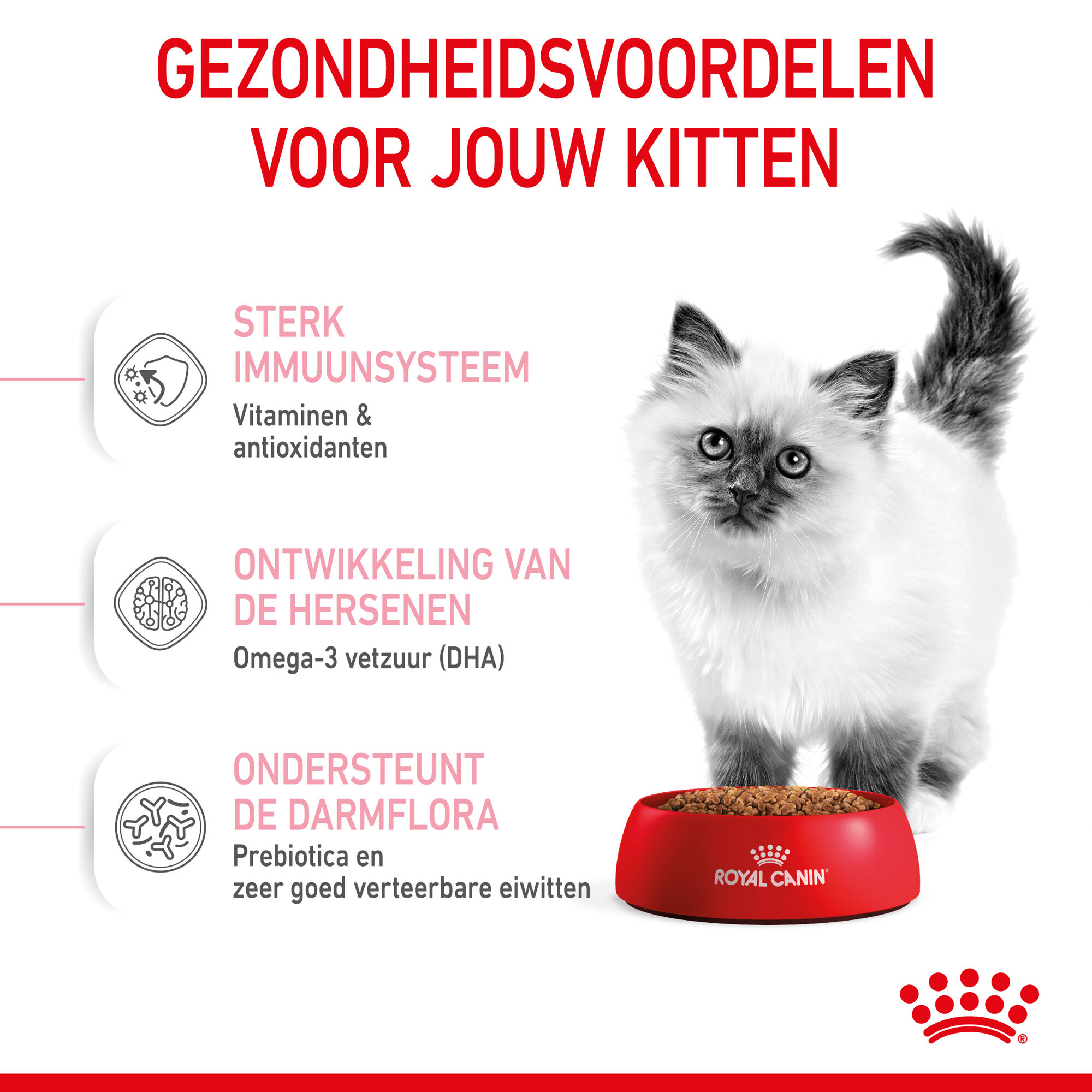 Royal Canin Kitten - Kattenvoer