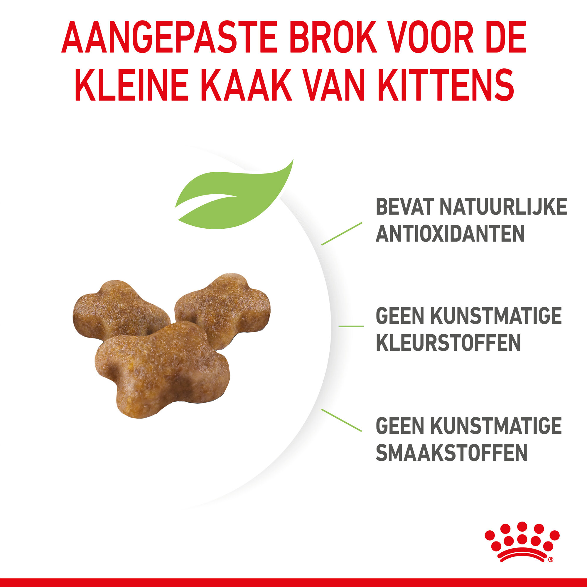 Royal Canin Kitten - Kattenvoer