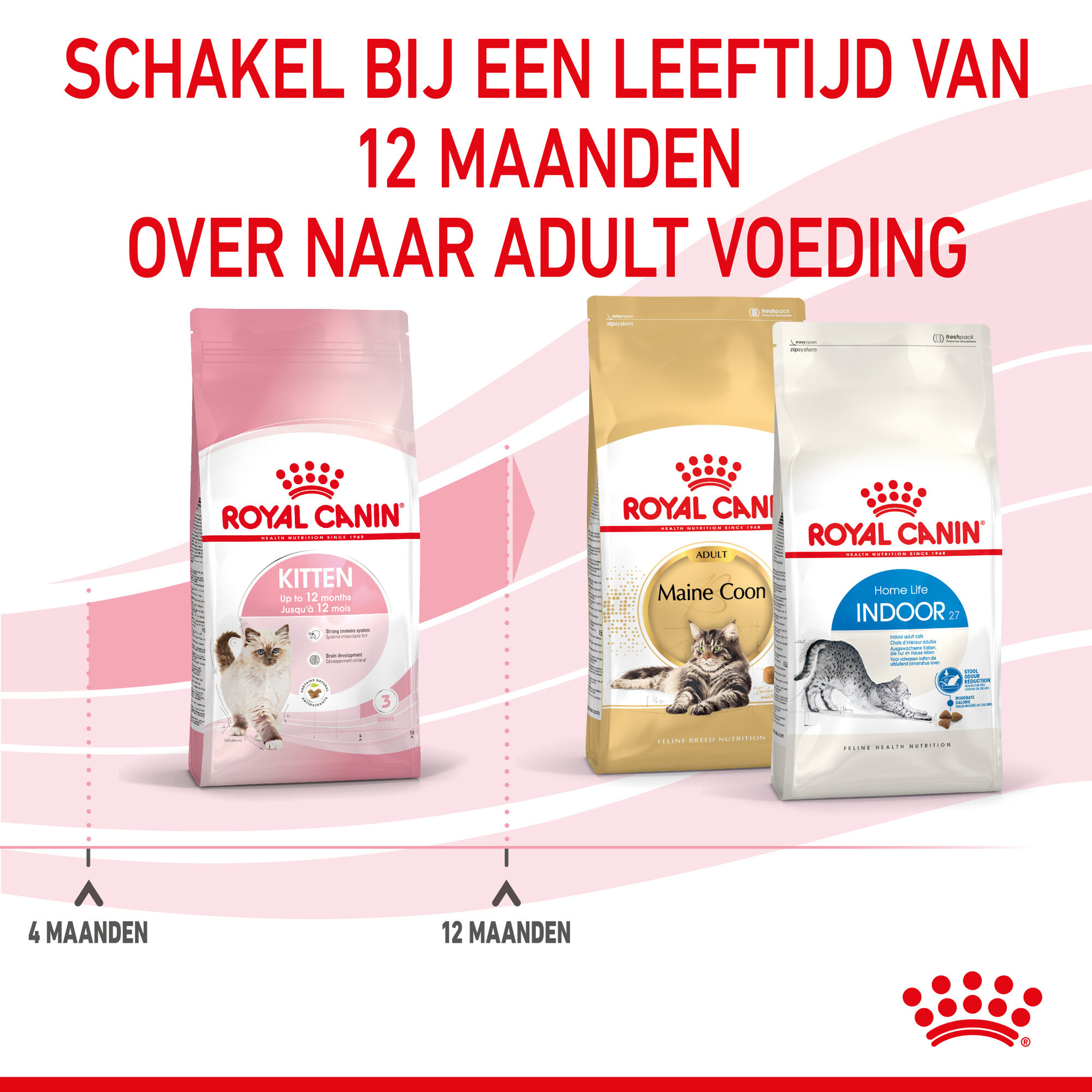 Royal Canin Kitten - Kattenvoer