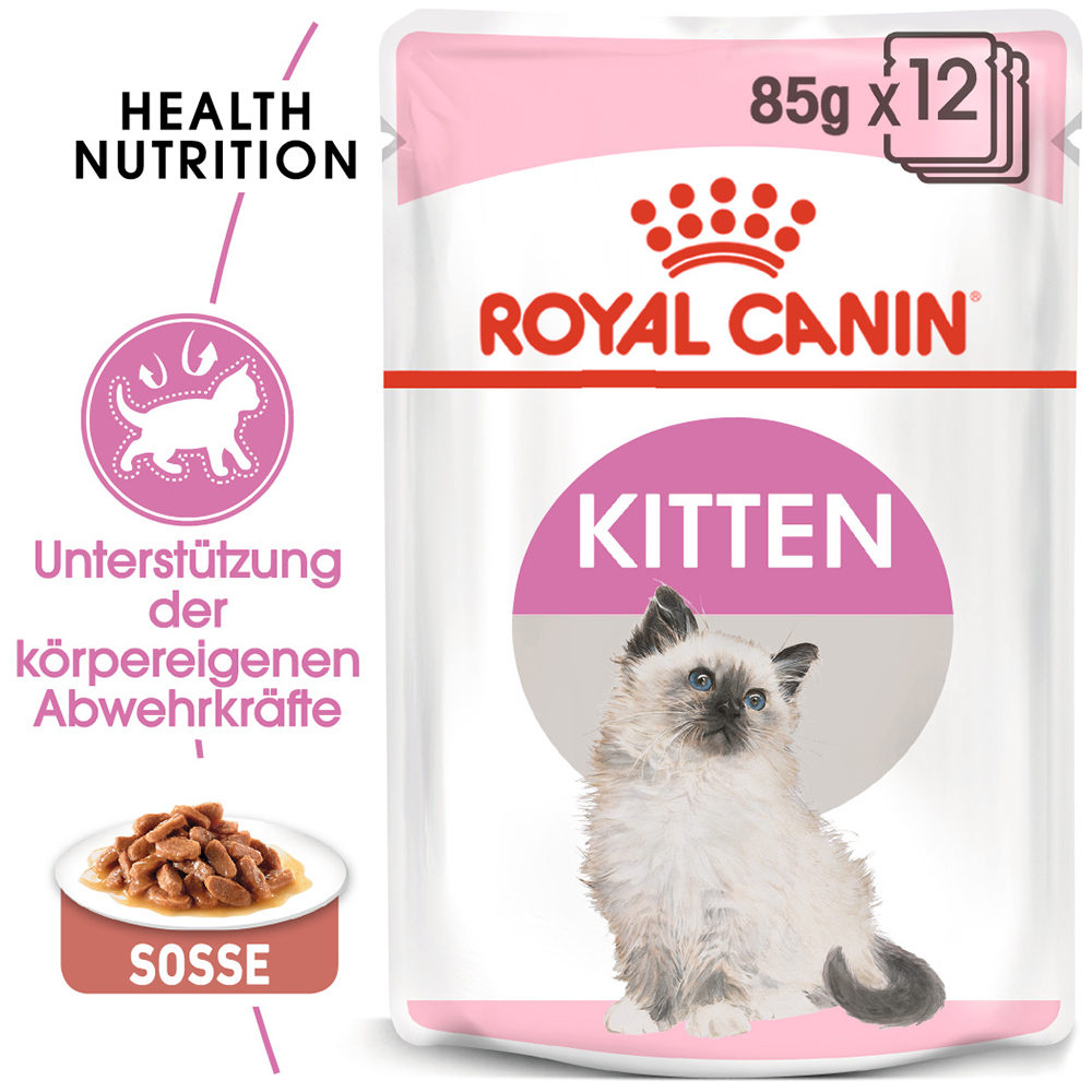 Royal canin ragdoll best sale kitten