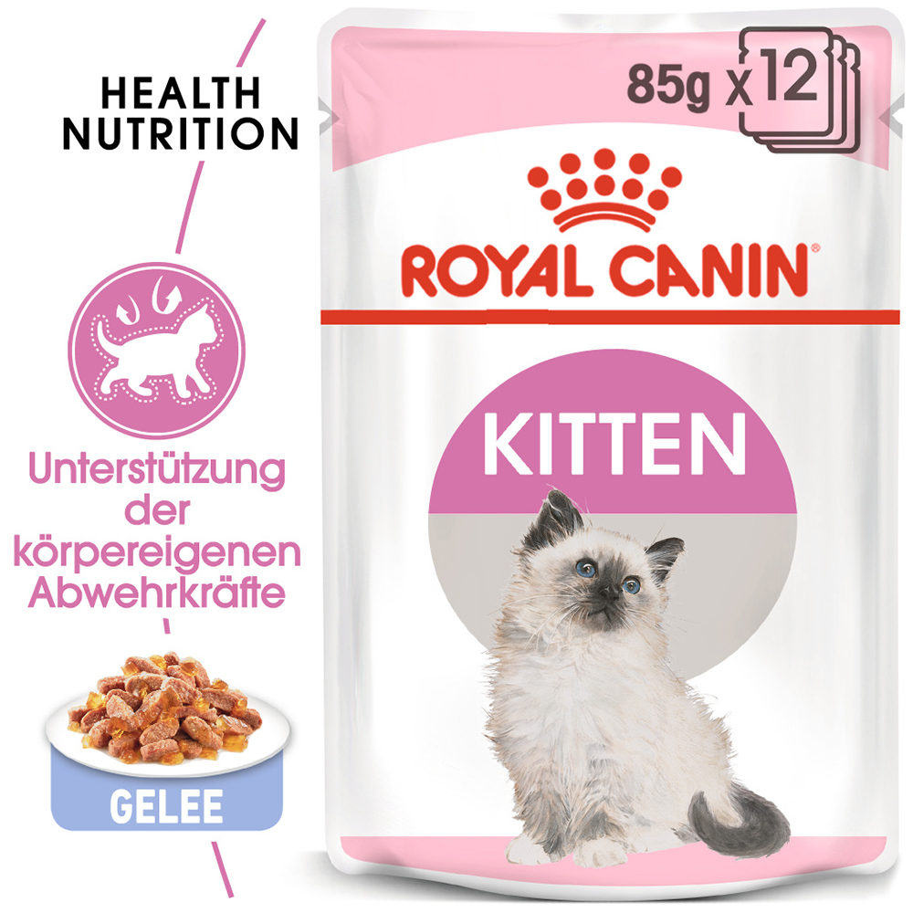 Royal Canin Jelly Kittenfutter - Frischebeutel