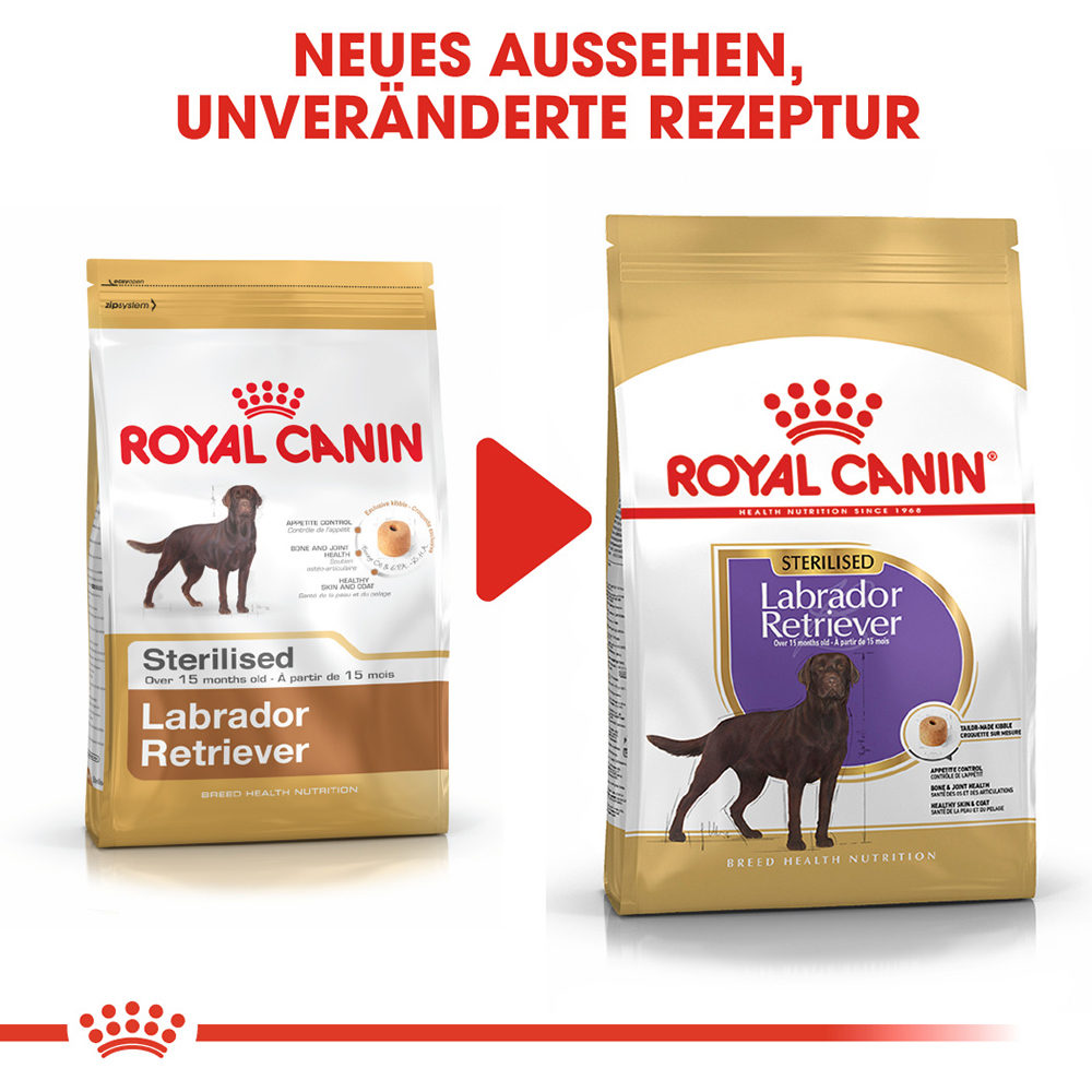 Royal canin adult lab on sale