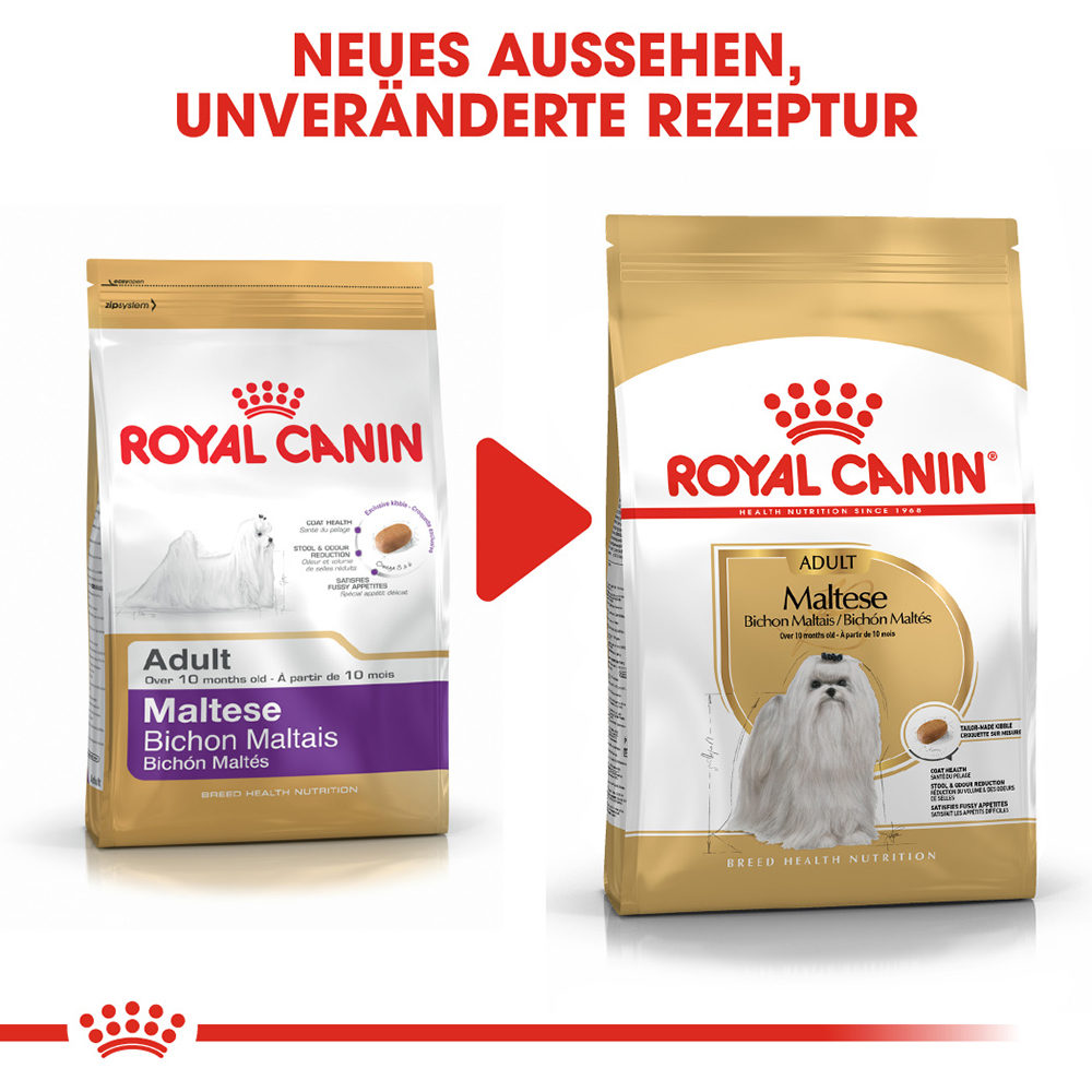 Royal Canin Maltese Adult | Hunde | Medpets.at | Medpets.at