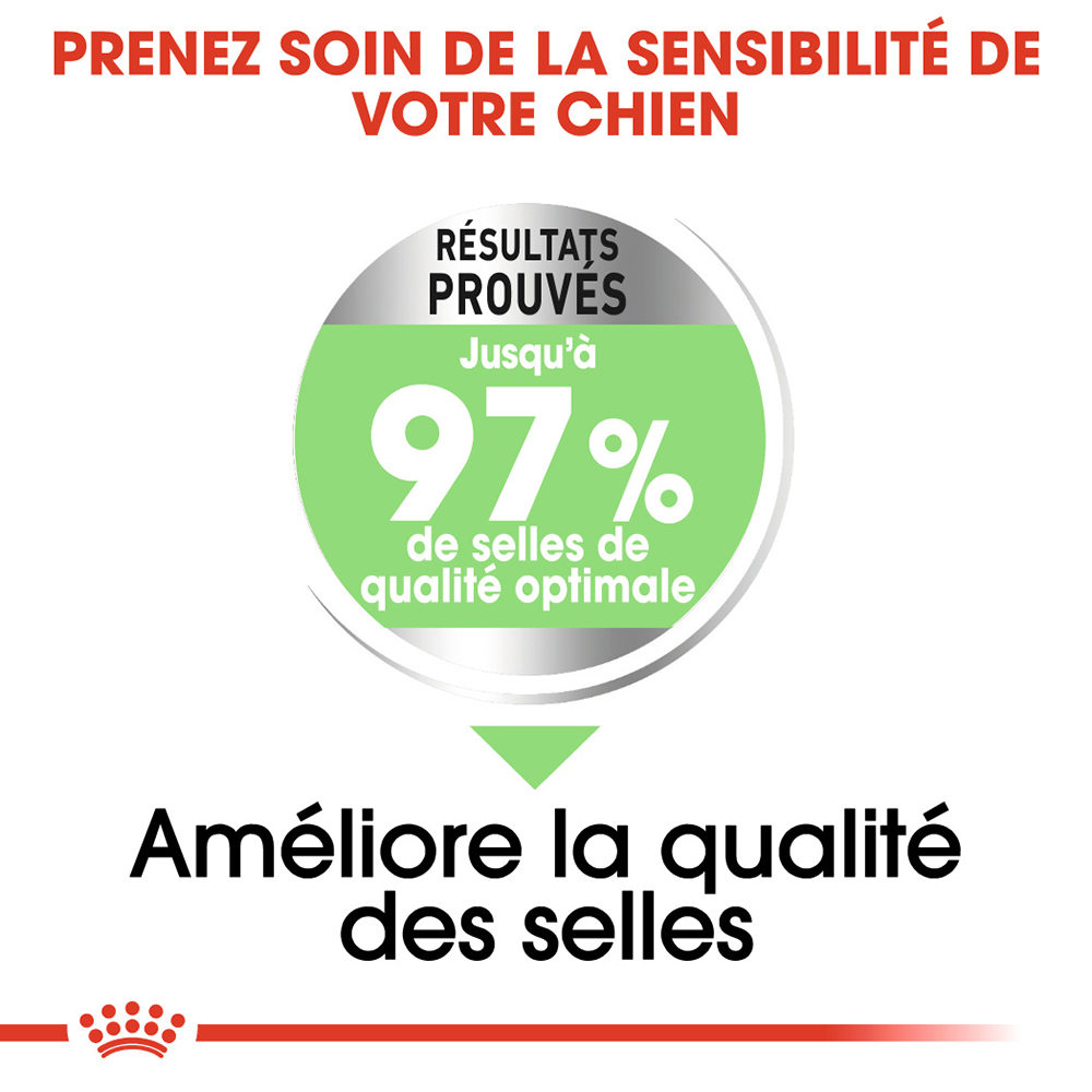 Royal Canin Maxi Digestive Care Chien Medpets