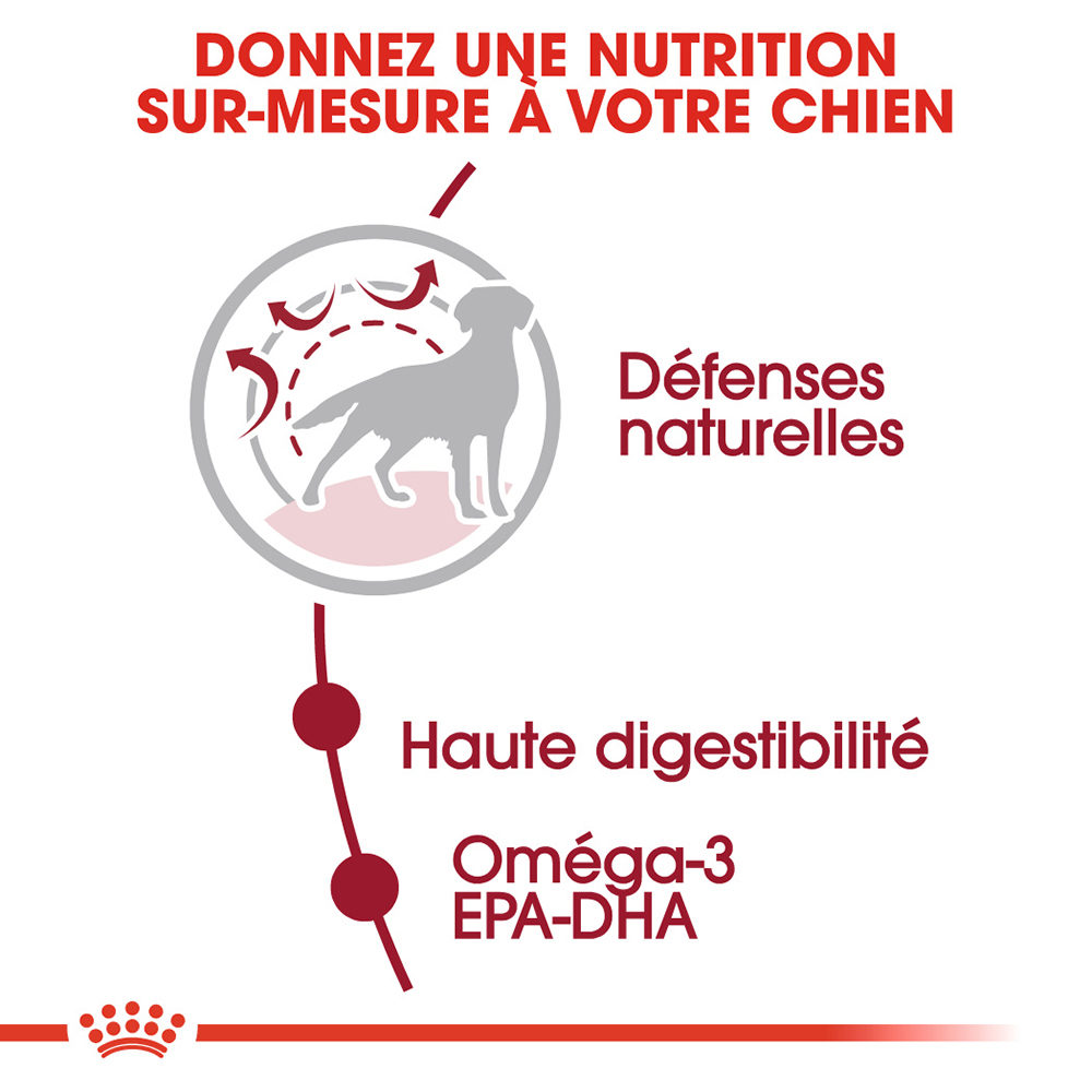 Royal Canin Medium Adult