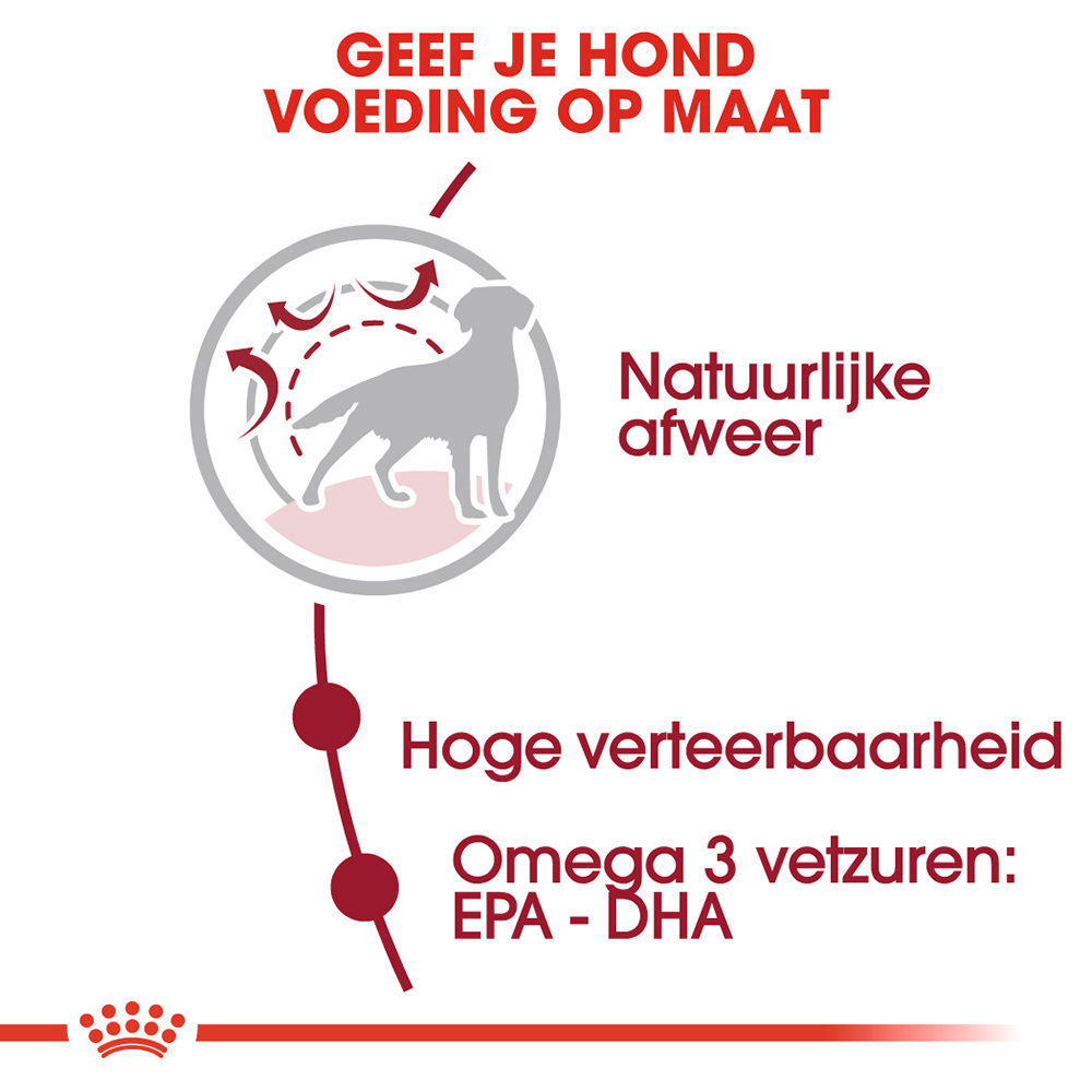 Royal Canin Medium Adult - Hondenvoer