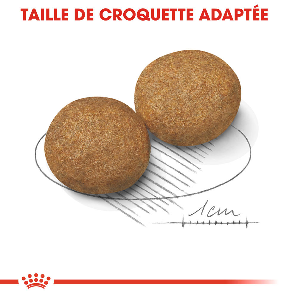 Royal Canin Medium Adult