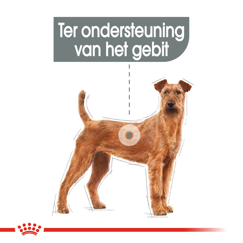 Royal Canin Hond Dental Grote Hond Dieetvoeding voor de gezondheid van het gebit van volwassen honden vanaf 10 kilo