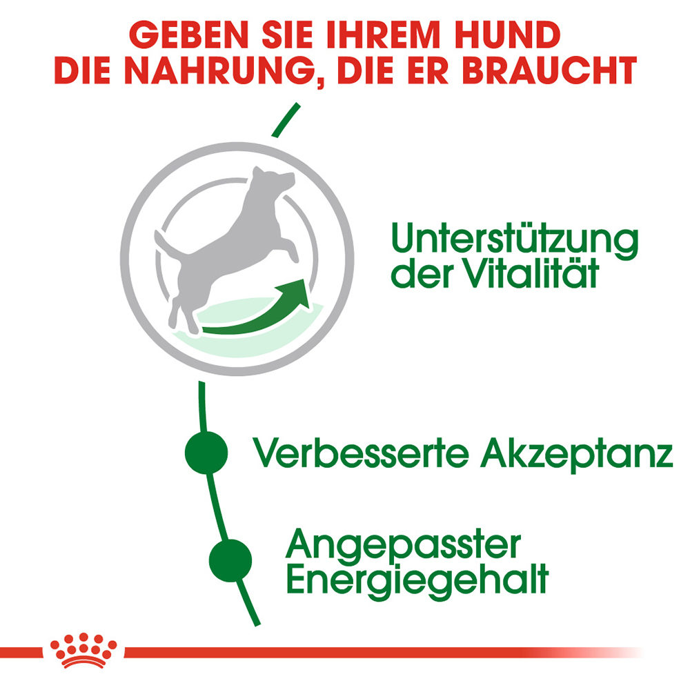 Royal Canin Mini Adult 8+ - Hundefutter