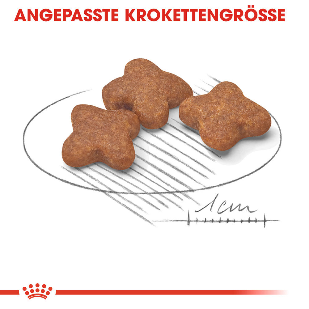 Royal Canin Mini Adult 8+ - Hundefutter