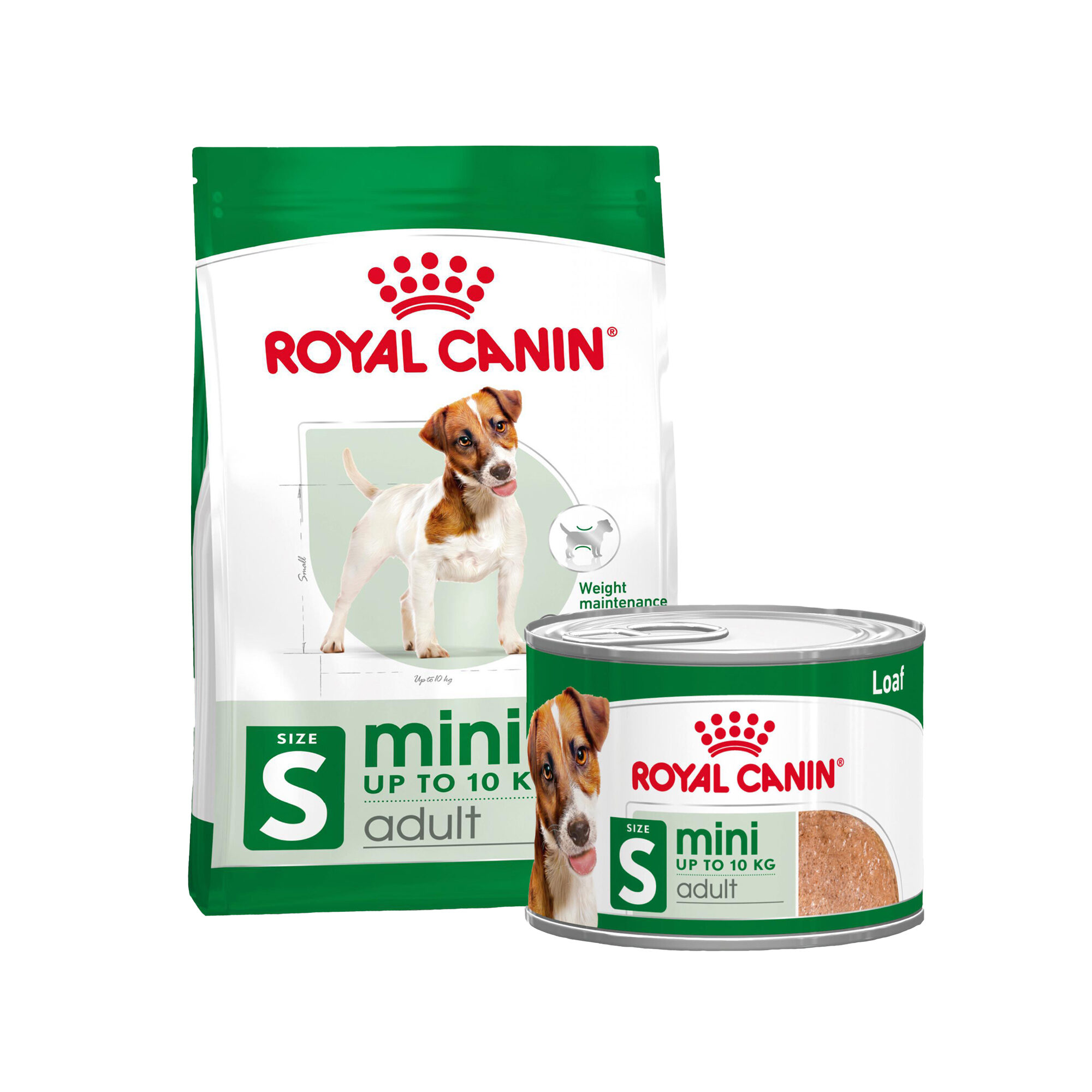 Royal Canin Mini Adult - 8 kg + Royal Canin Mini Adult Wet - 12 x 195 g Dryfood