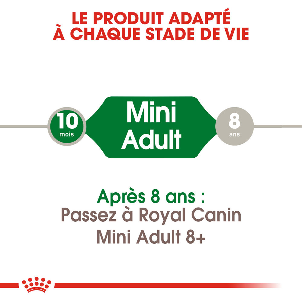 Royal Canin Mini Adult