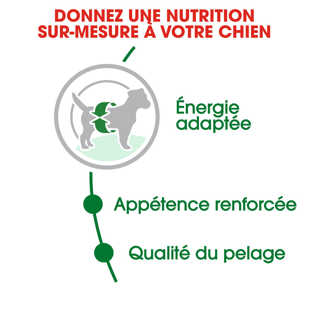 Royal Canin Mini Adult