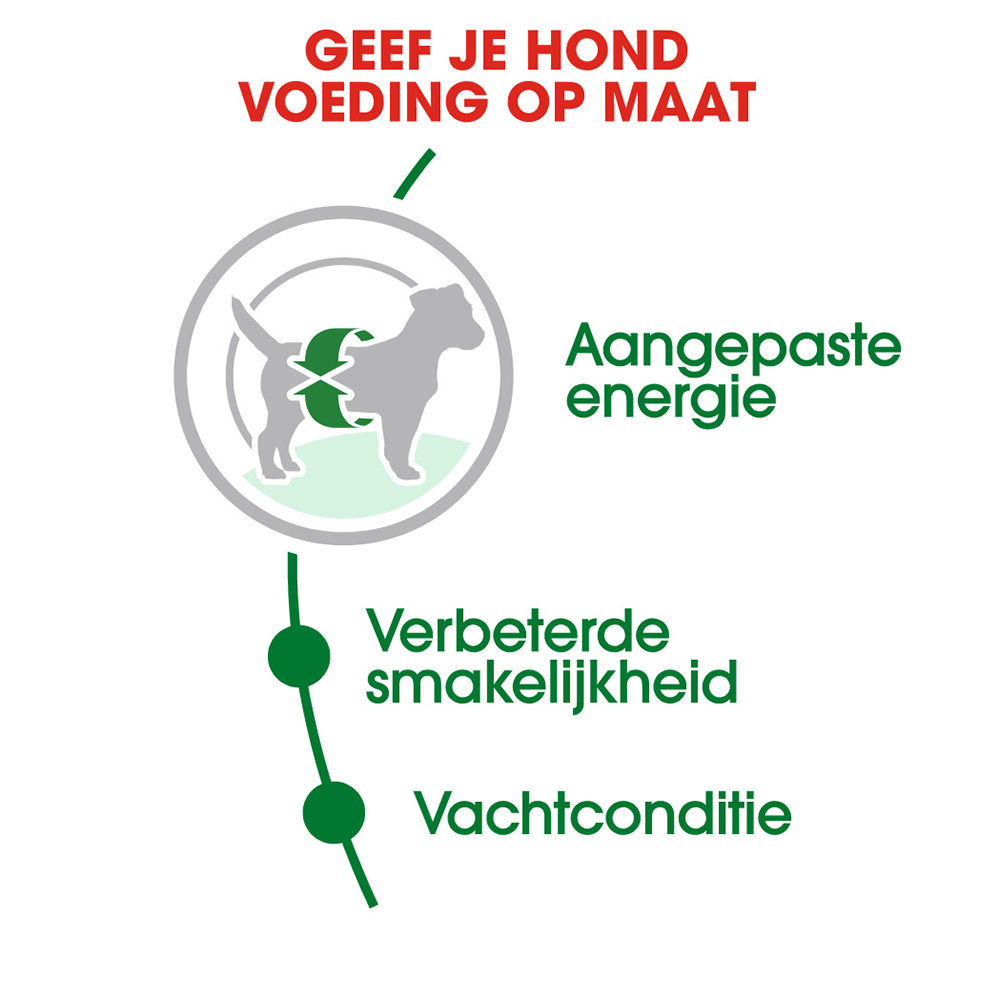 Royal Canin Mini Adult - Hondenvoer