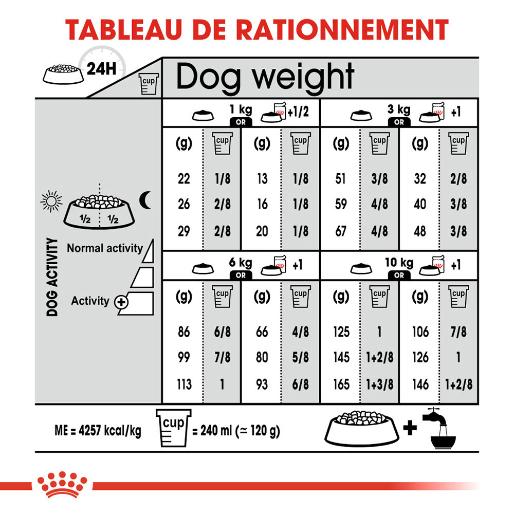 Royal Canin Mini Digestive Care Chien Medpets